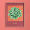 Peony Jade – Lámina Artística