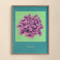 Peony Purple – Lámina Artística